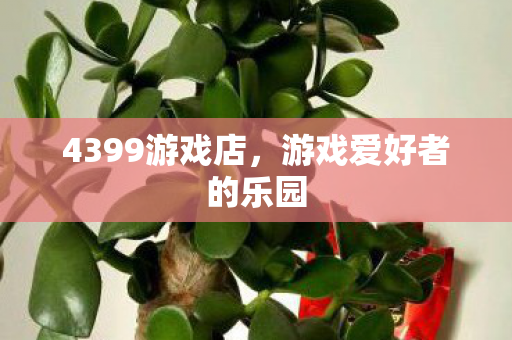 4399游戏店，游戏爱好者的乐园