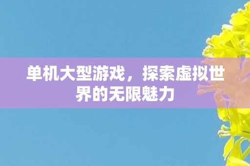单机大型游戏，探索虚拟世界的无限魅力