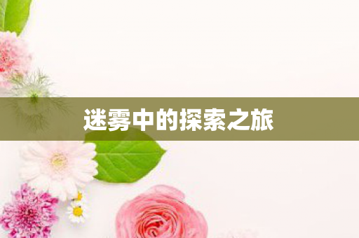 迷雾中的探索之旅