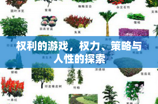 权利的游戏,权力、策略与人性的探索 权利的游戏,权力、策略与人性的探索