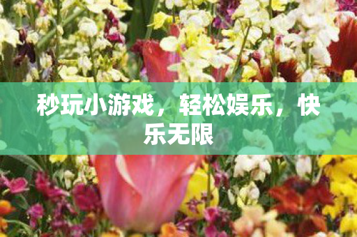 秒玩小游戏，轻松娱乐，快乐无限