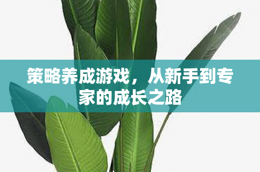 策略养成游戏，从新手到专家的成长之路