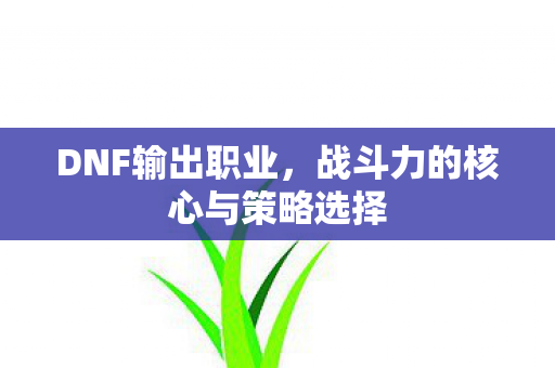 DNF输出职业，战斗力的核心与策略选择