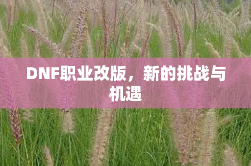 DNF职业改版，新的挑战与机遇