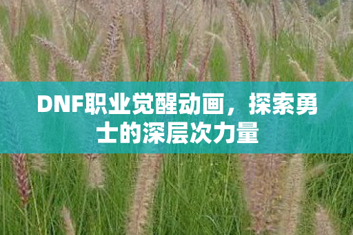DNF职业觉醒动画，探索勇士的深层次力量