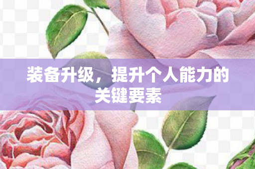 装备升级，提升个人能力的关键要素