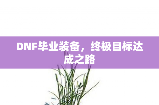DNF毕业装备，终极目标达成之路