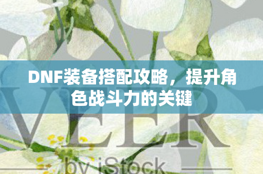 DNF装备搭配攻略,提升角色战斗力的关键 DNF装备搭配攻略,提升角色战斗力的关键