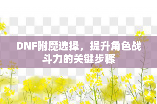 DNF附魔选择,提升角色战斗力的关键步骤 DNF附魔选择,提升角色战斗力的关键步骤