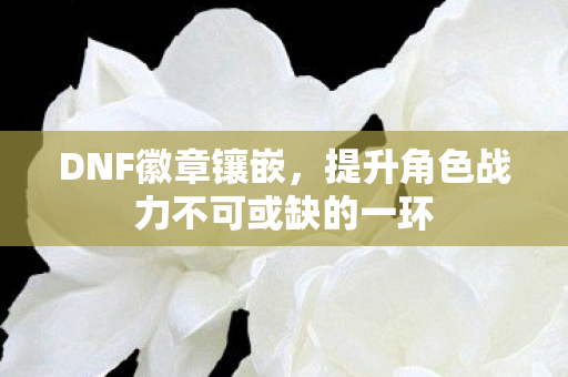 DNF徽章镶嵌，提升角色战力不可或缺的一环