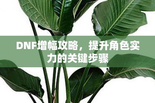 DNF增幅攻略,提升角色实力的关键步骤 DNF增幅攻略,提升角色实力的关键步骤
