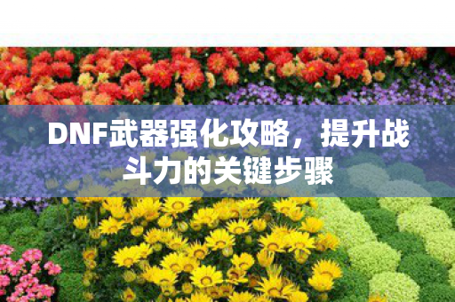 DNF武器强化攻略,提升战斗力的关键步骤 DNF武器强化攻略,提升战斗力的关键步骤