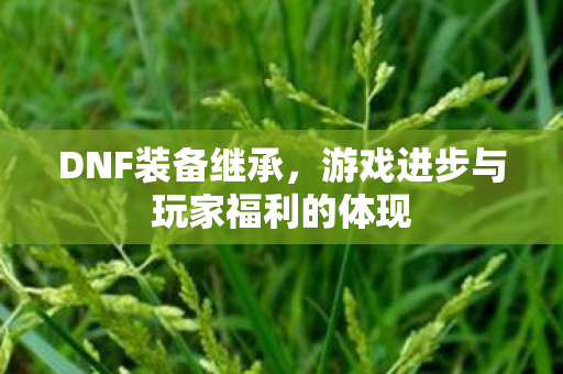 DNF装备继承，游戏进步与玩家福利的体现