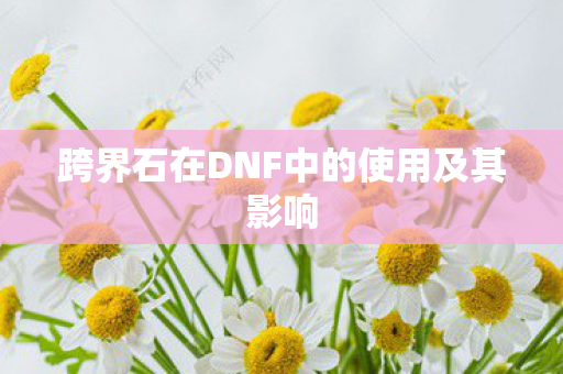 跨界石在DNF中的使用及其影响
