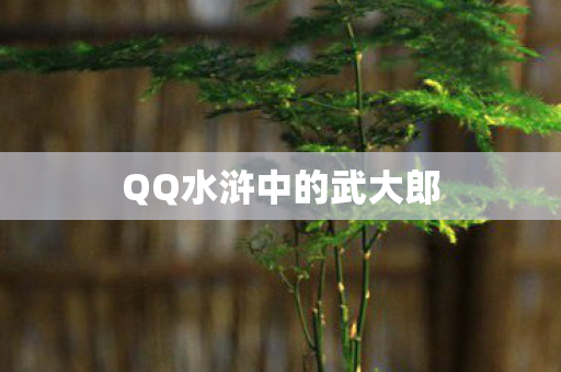 QQ水浒中的武大郎
