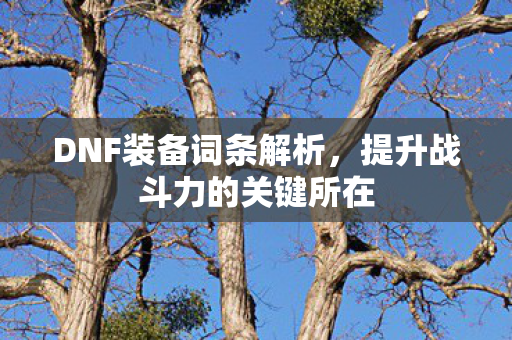 DNF装备词条解析，提升战斗力的关键所在