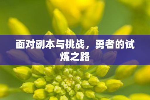 面对副本与挑战，勇者的试炼之路