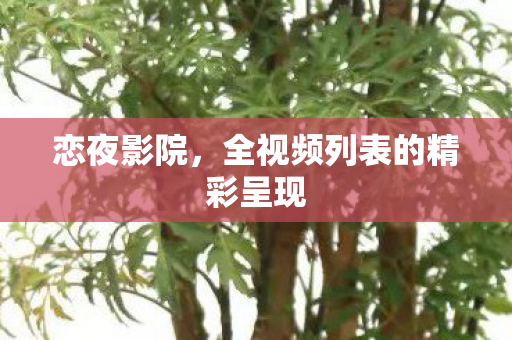 恋夜影院，全视频列表的精彩呈现