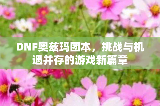DNF奥兹玛团本，挑战与机遇并存的游戏新篇章