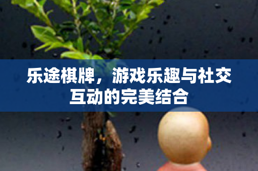 乐途棋牌，游戏乐趣与社交互动的完美结合