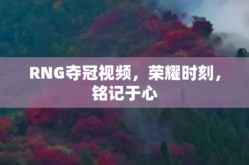 RNG夺冠视频，荣耀时刻，铭记于心
