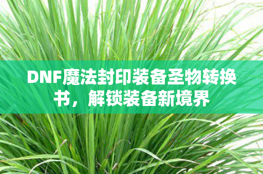 DNF魔法封印装备圣物转换书，解锁装备新境界