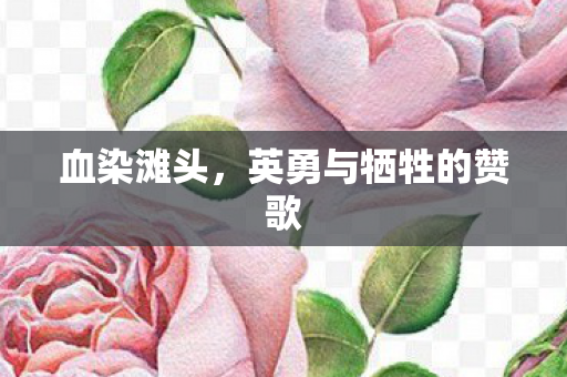血染滩头，英勇与牺牲的赞歌