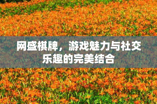 网盛棋牌，游戏魅力与社交乐趣的完美结合