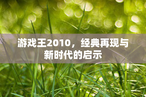 游戏王2010，经典再现与新时代的启示