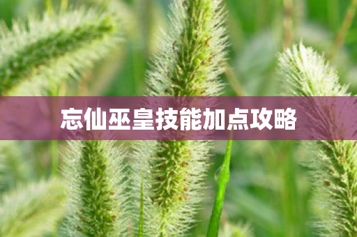 忘仙巫皇技能加点攻略