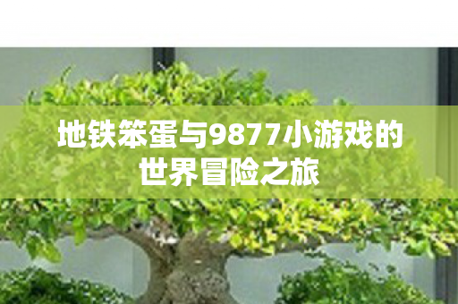 地铁笨蛋与9877小游戏的世界冒险之旅