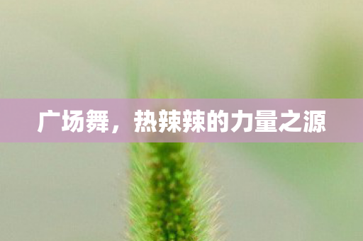 广场舞，热辣辣的力量之源
