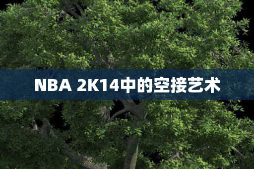NBA 2K14中的空接艺术