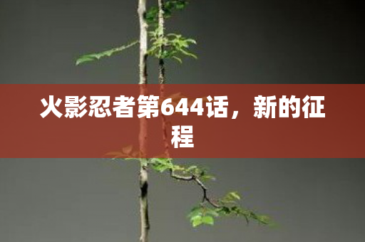 火影忍者第644话，新的征程