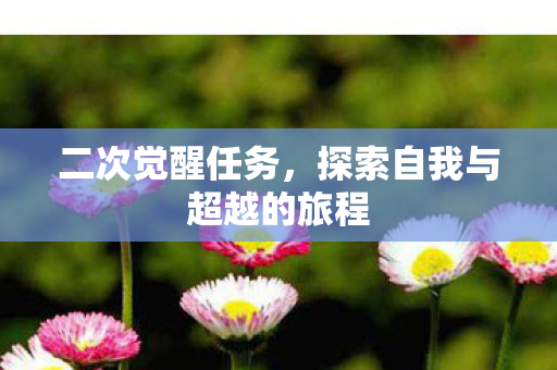 二次觉醒任务，探索自我与超越的旅程