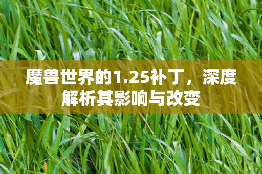 魔兽世界的1.25补丁，深度解析其影响与改变