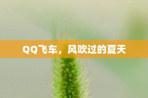 QQ飞车,风吹过的夏天 QQ飞车,风吹过的夏天