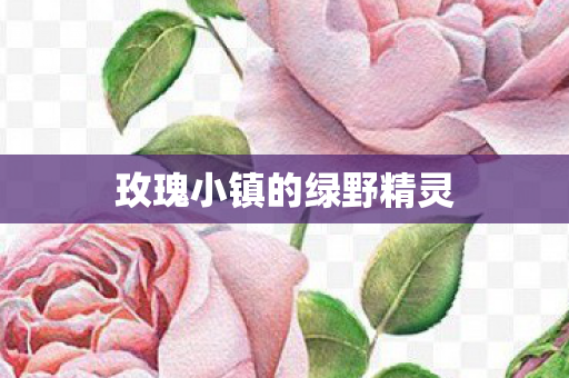 玫瑰小镇的绿野精灵