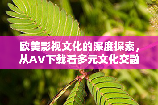 欧美影视文化的深度探索，从AV下载看多元文化交融