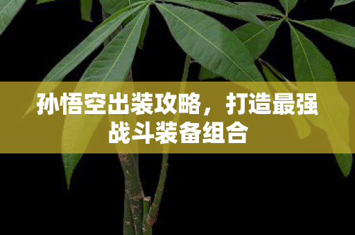 孙悟空出装攻略，打造最强战斗装备组合