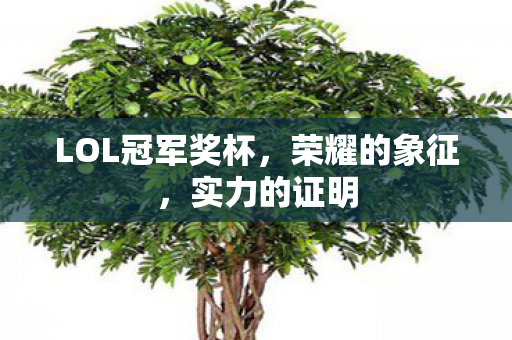 LOL冠军奖杯，荣耀的象征，实力的证明