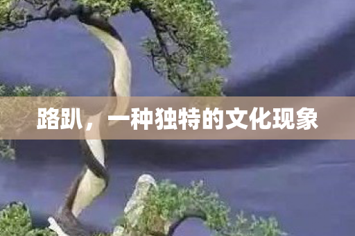 路趴，一种独特的文化现象