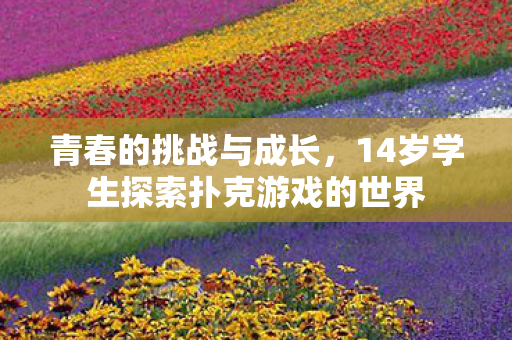 青春的挑战与成长，14岁学生探索扑克游戏的世界