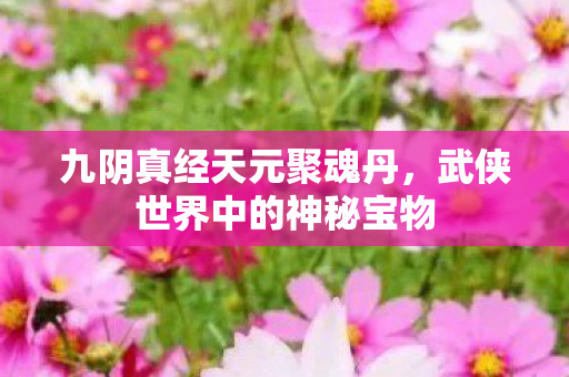 九阴真经天元聚魂丹，武侠世界中的神秘宝物