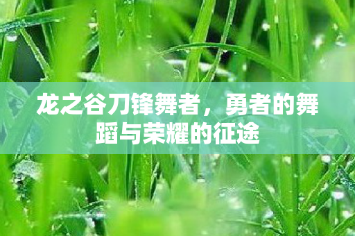 龙之谷刀锋舞者，勇者的舞蹈与荣耀的征途