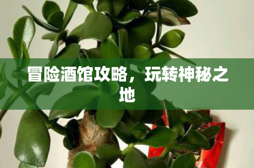 冒险酒馆攻略，玩转神秘之地
