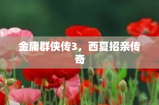 金庸群侠传3，西夏招亲传奇