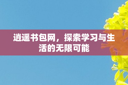 逍遥书包网，探索学习与生活的无限可能