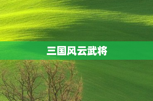 三国风云武将