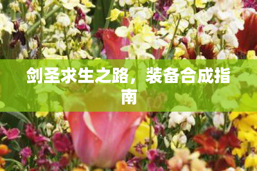 剑圣求生之路，装备合成指南